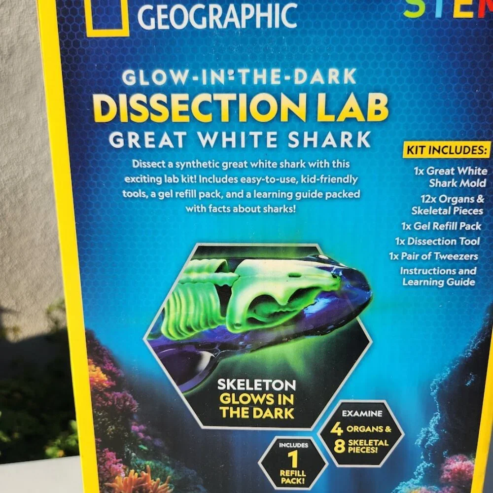 National Geographic Shark Dissection Kit Glow in The Dark Great White Shark Anat